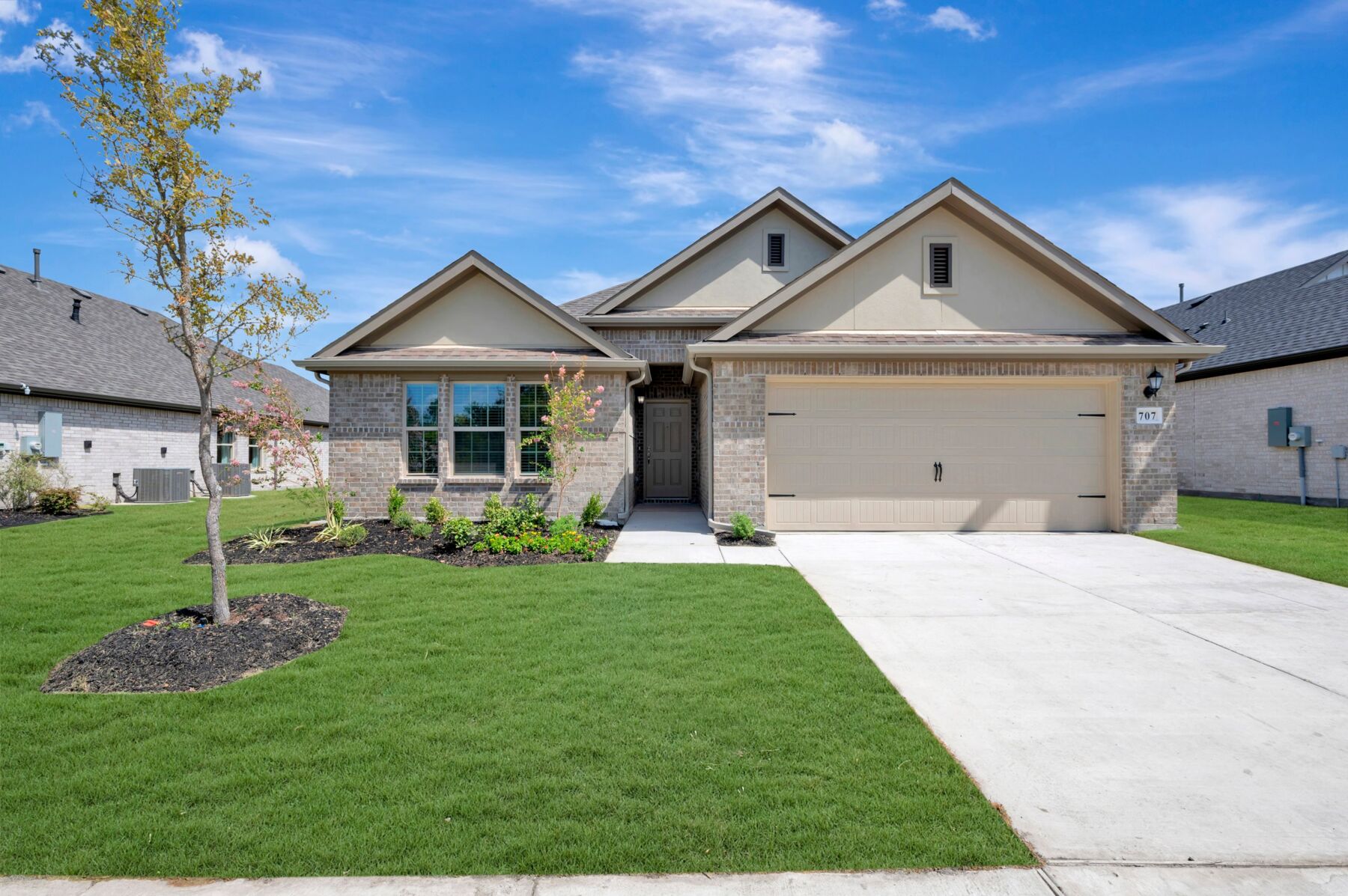 Pizarro at 707 Grand Dale Drive, Lavon, Texas