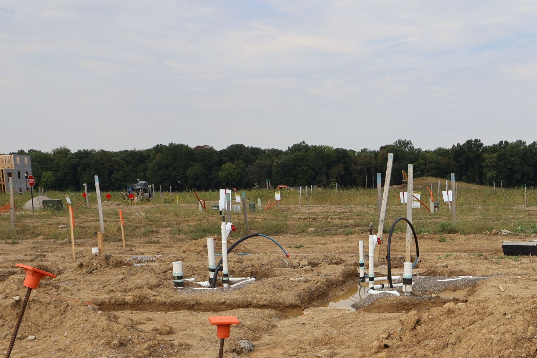 Homesite