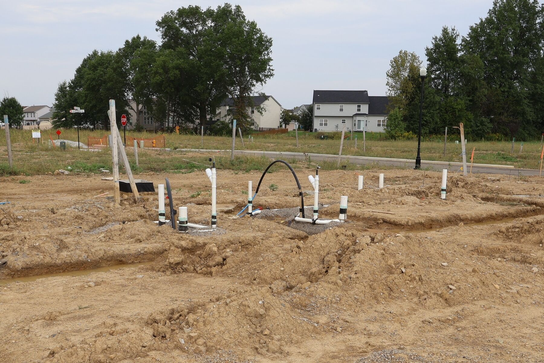 Homesite