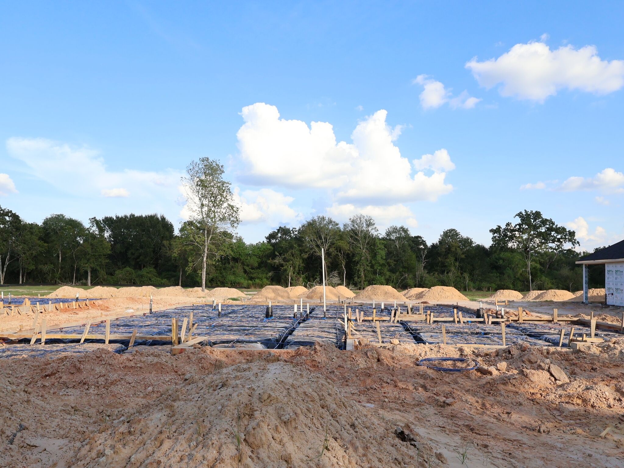 Homesite