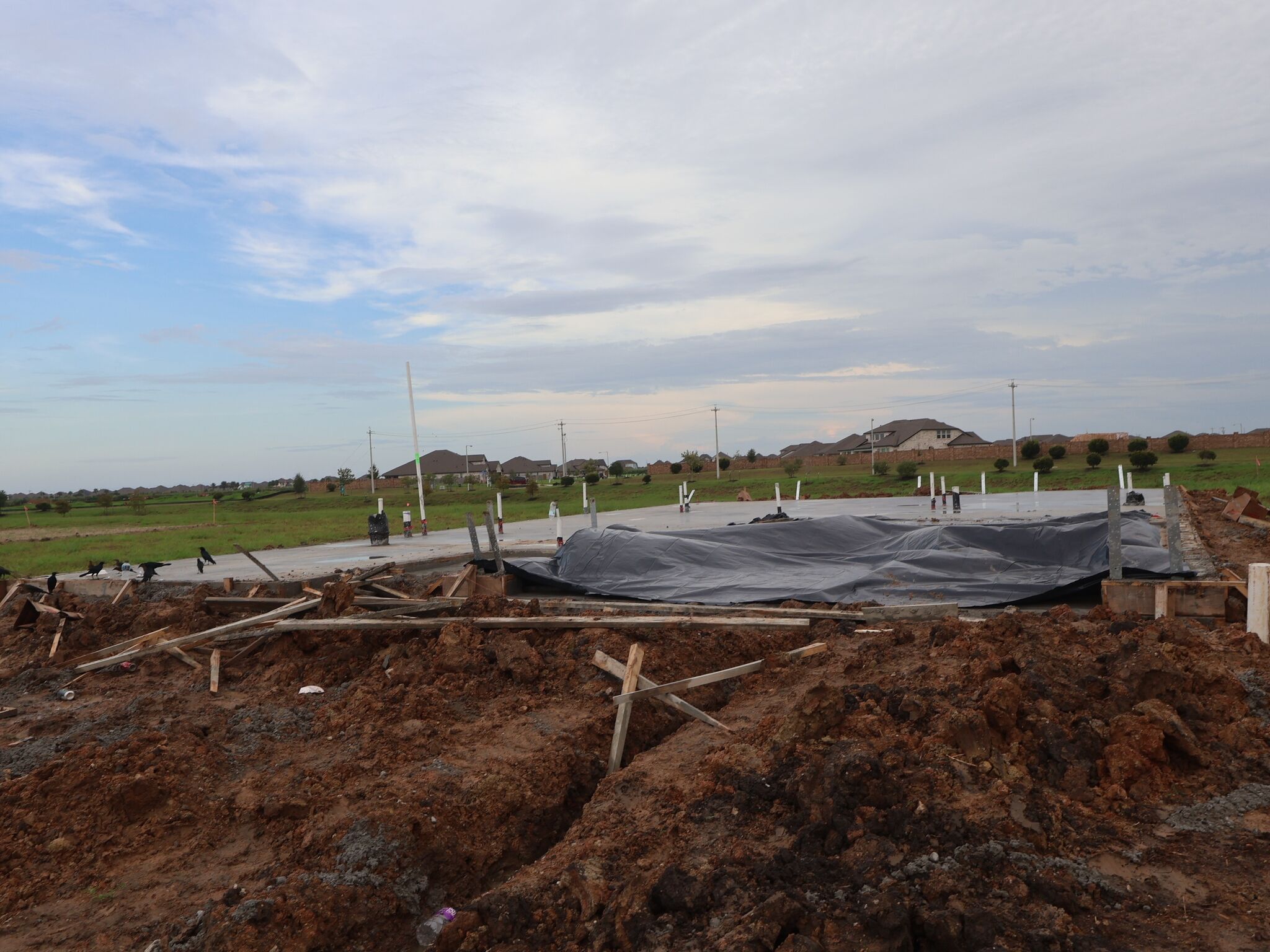 Homesite