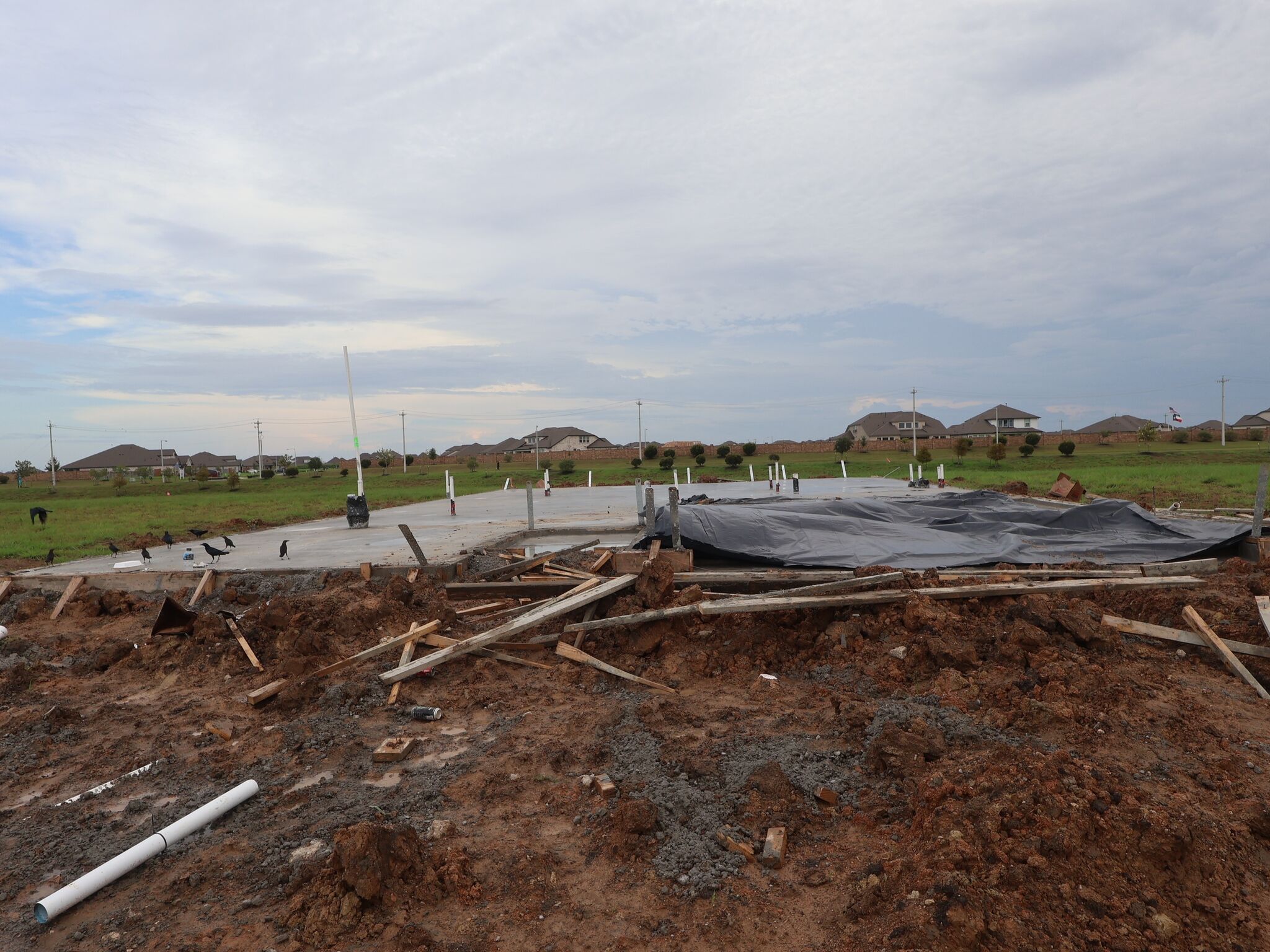 Homesite