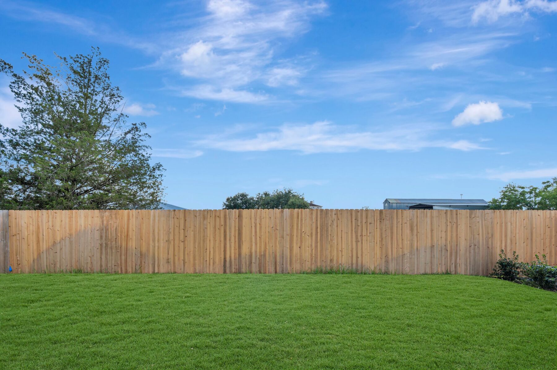 Backyard