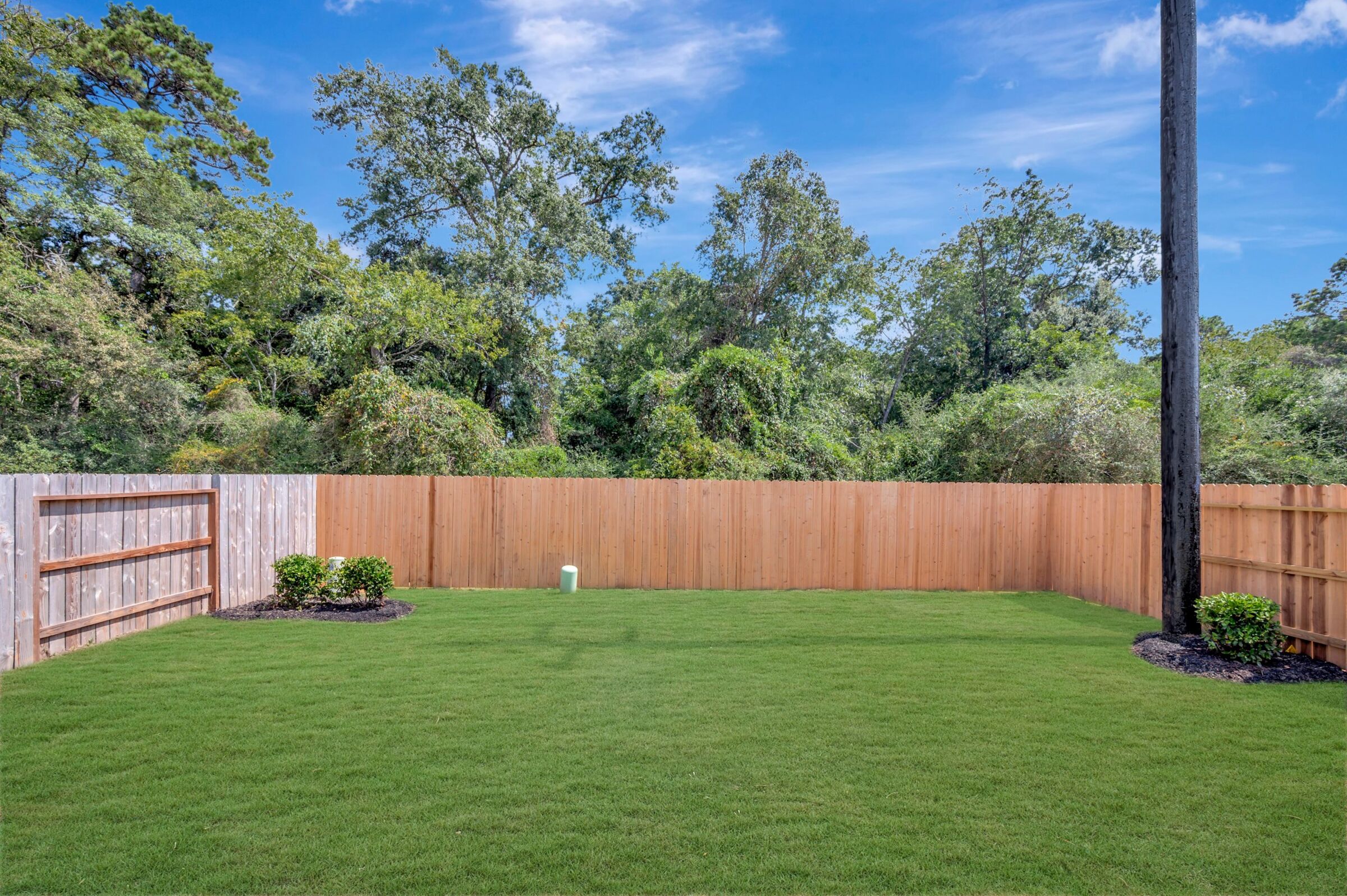 Backyard