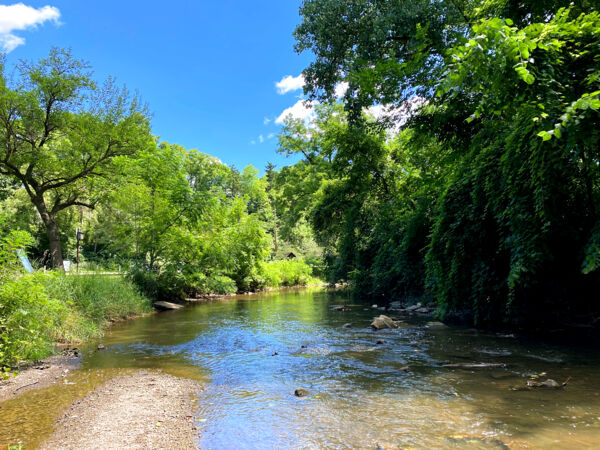Curtiss Park