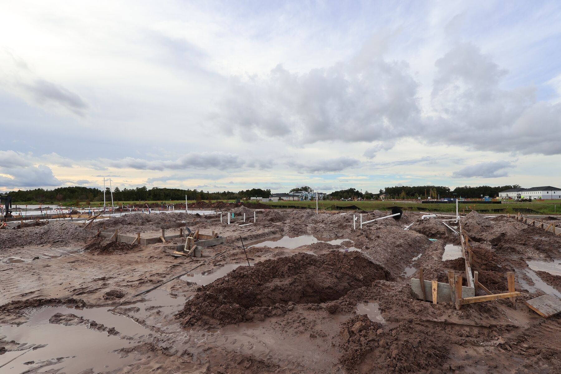 Homesite