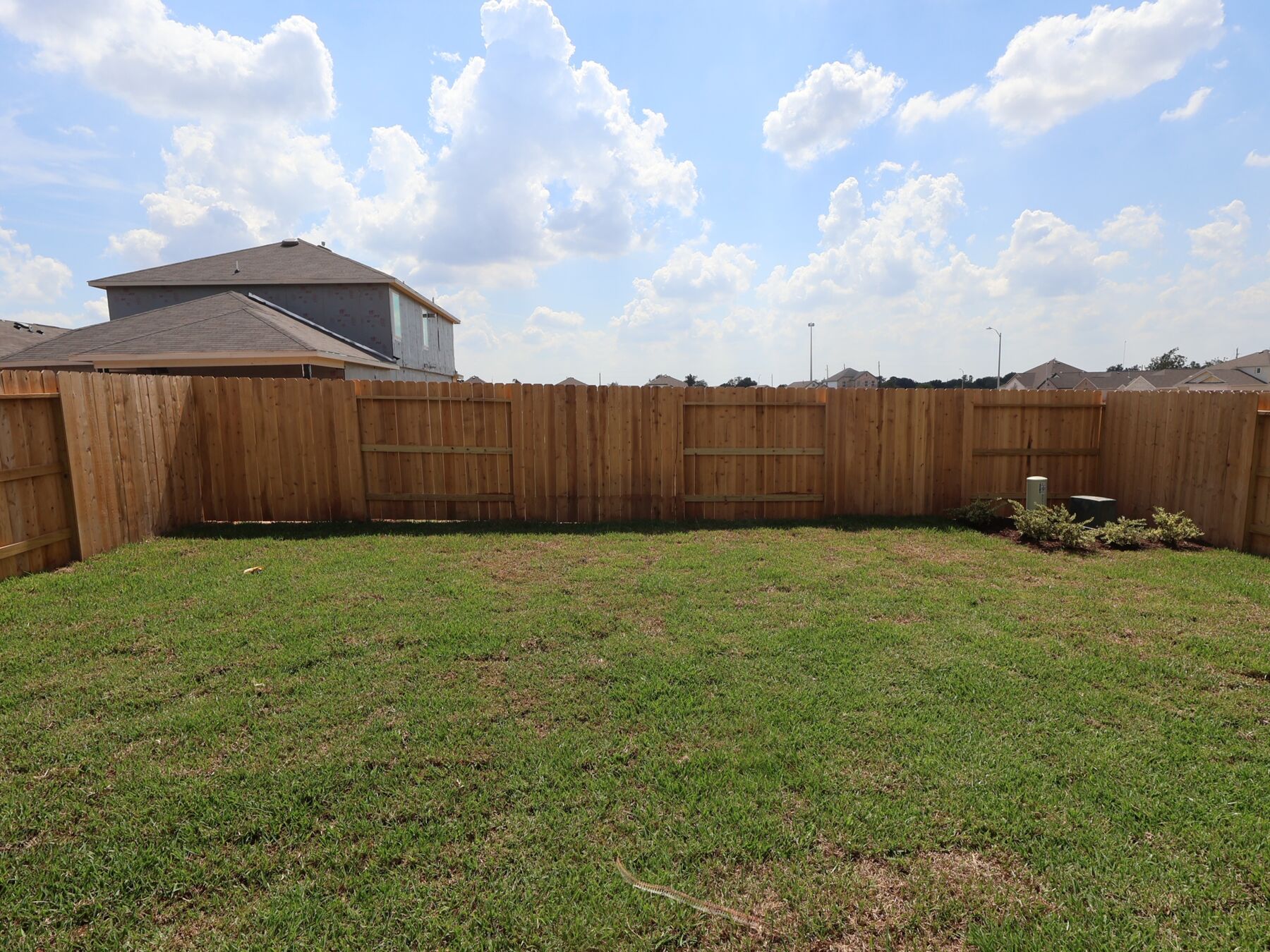 Backyard
