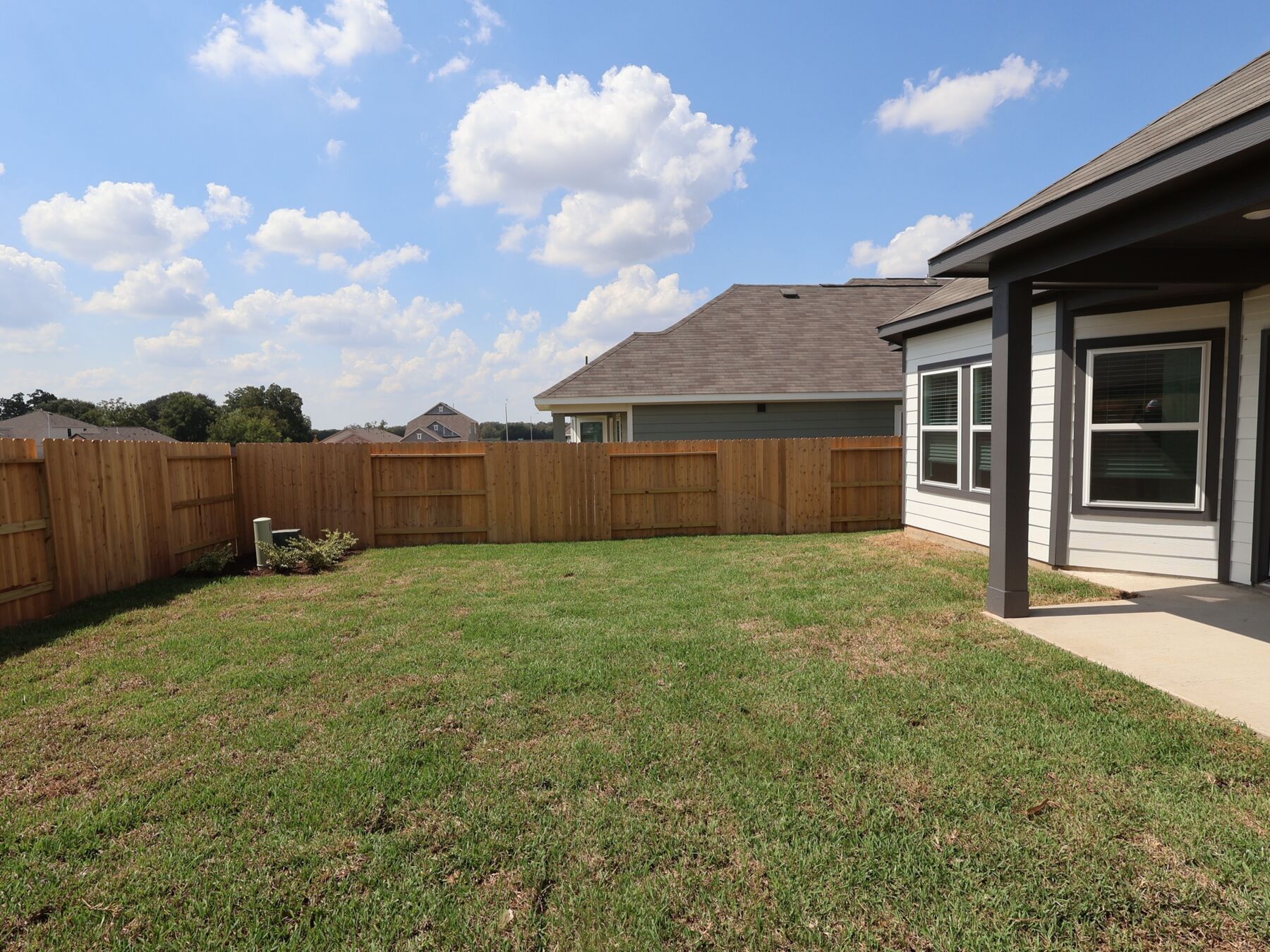 Backyard