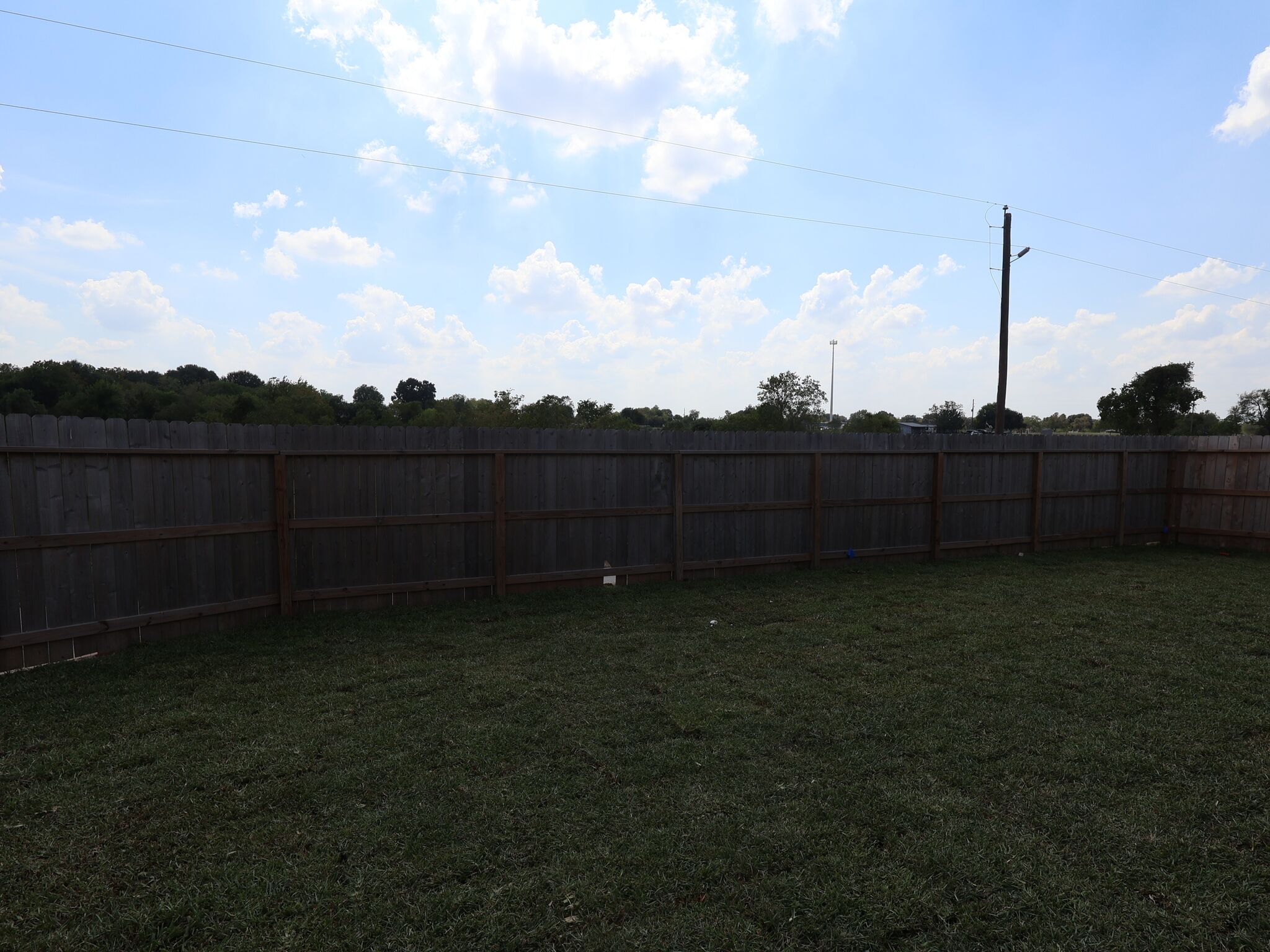 Backyard