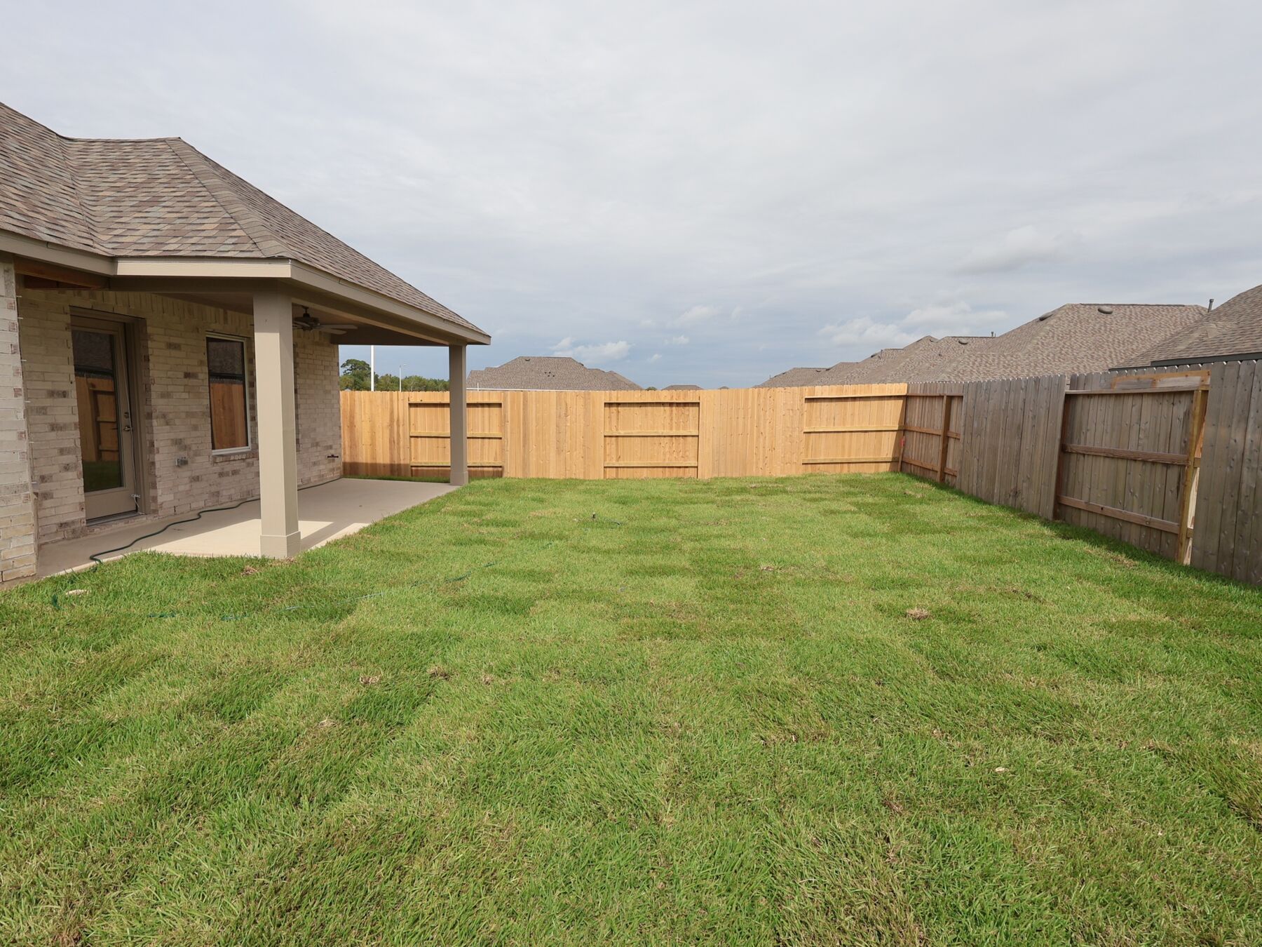 Backyard