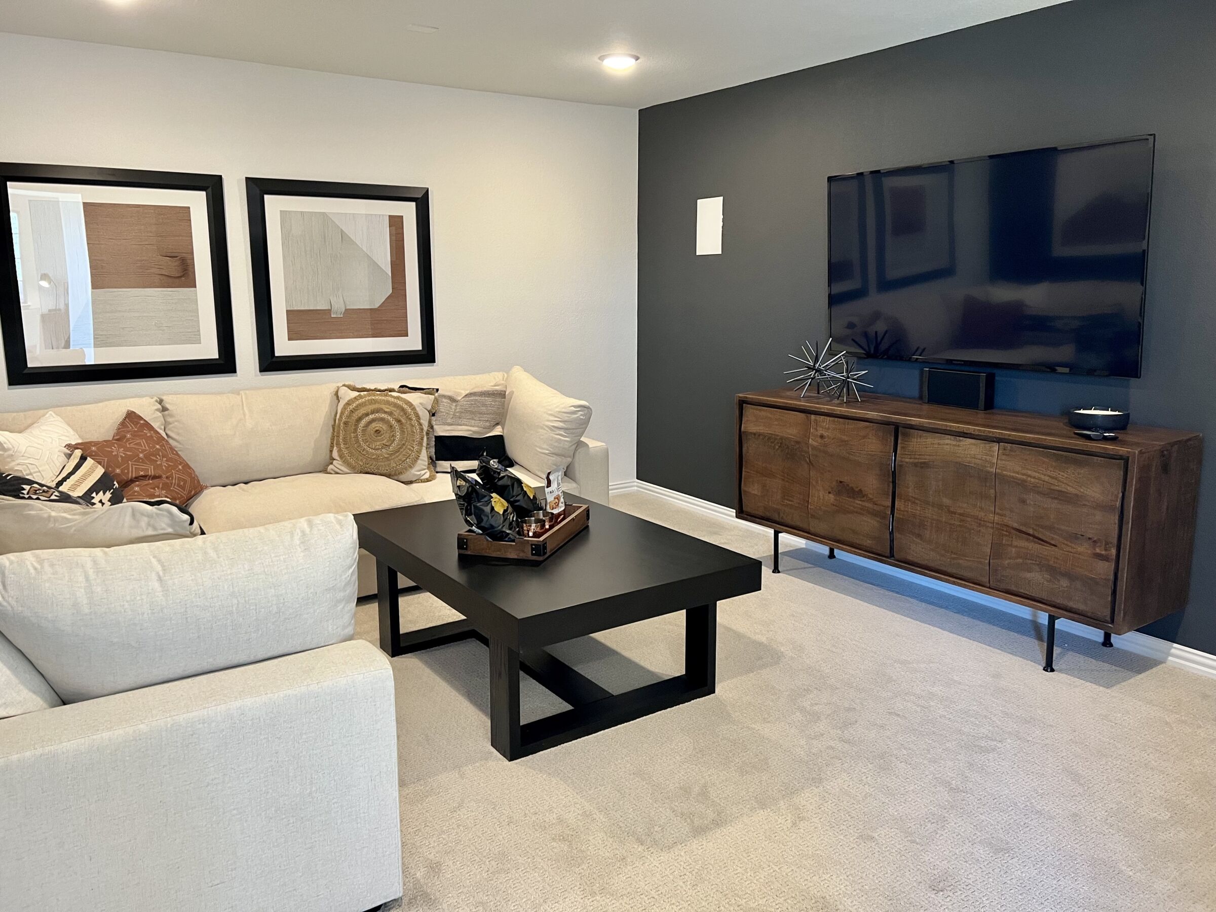 Media Room