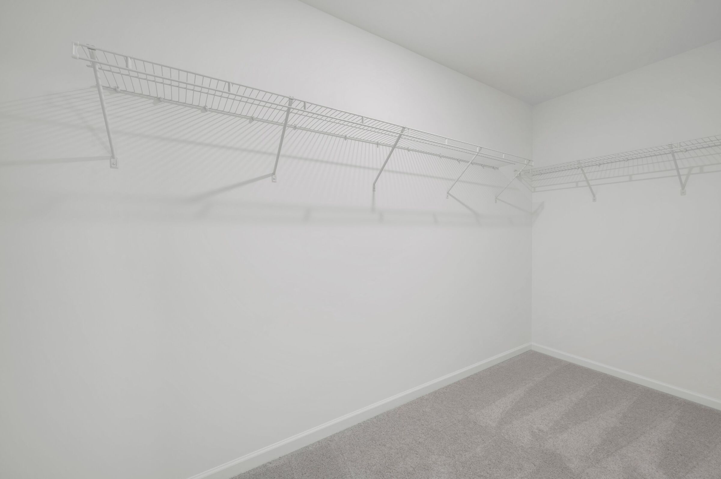 Owner's Closet