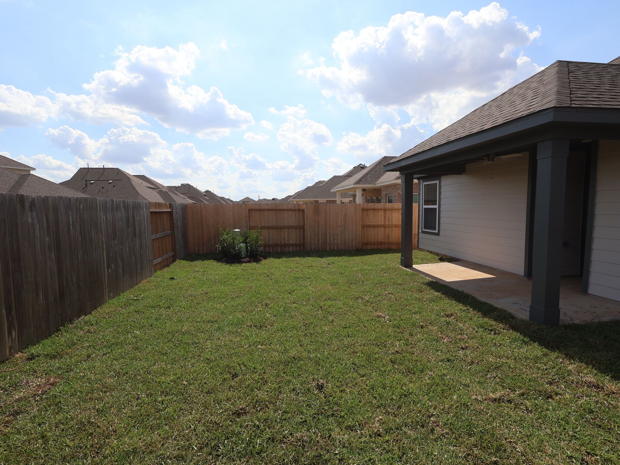 Backyard