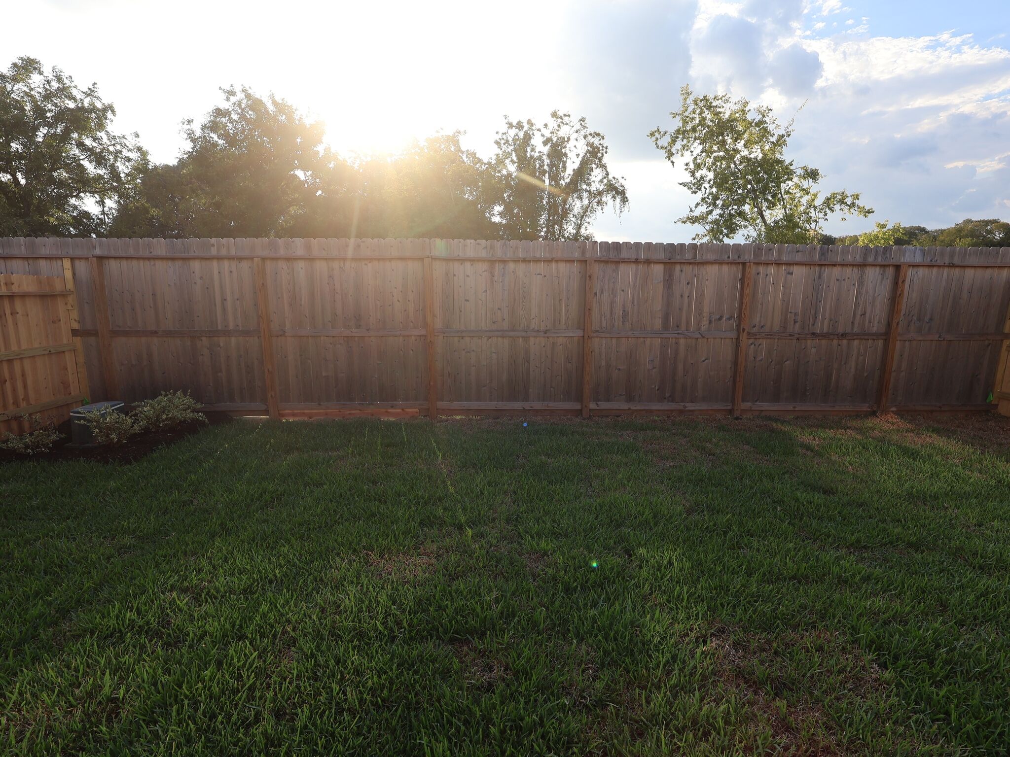Backyard