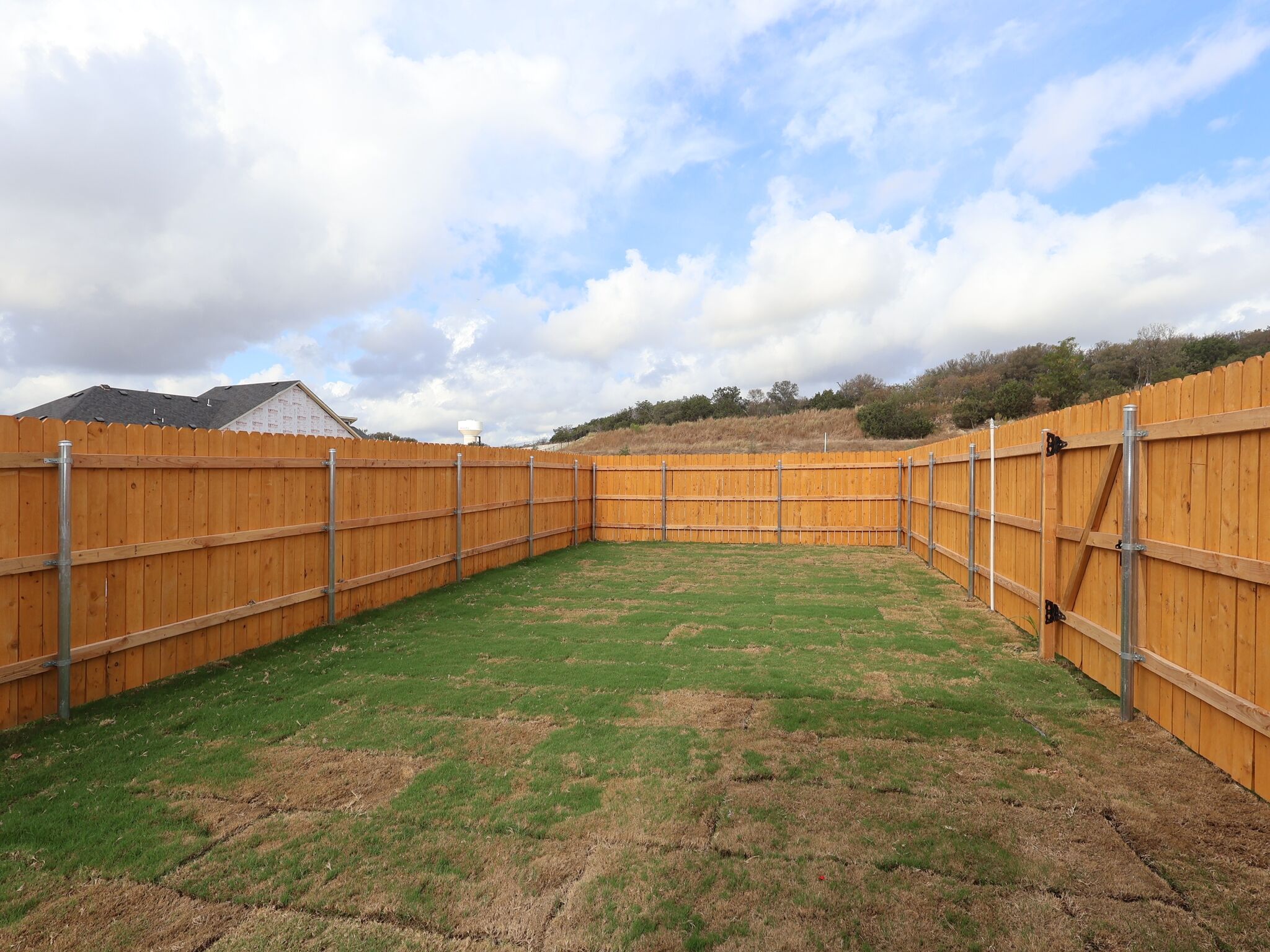 Backyard