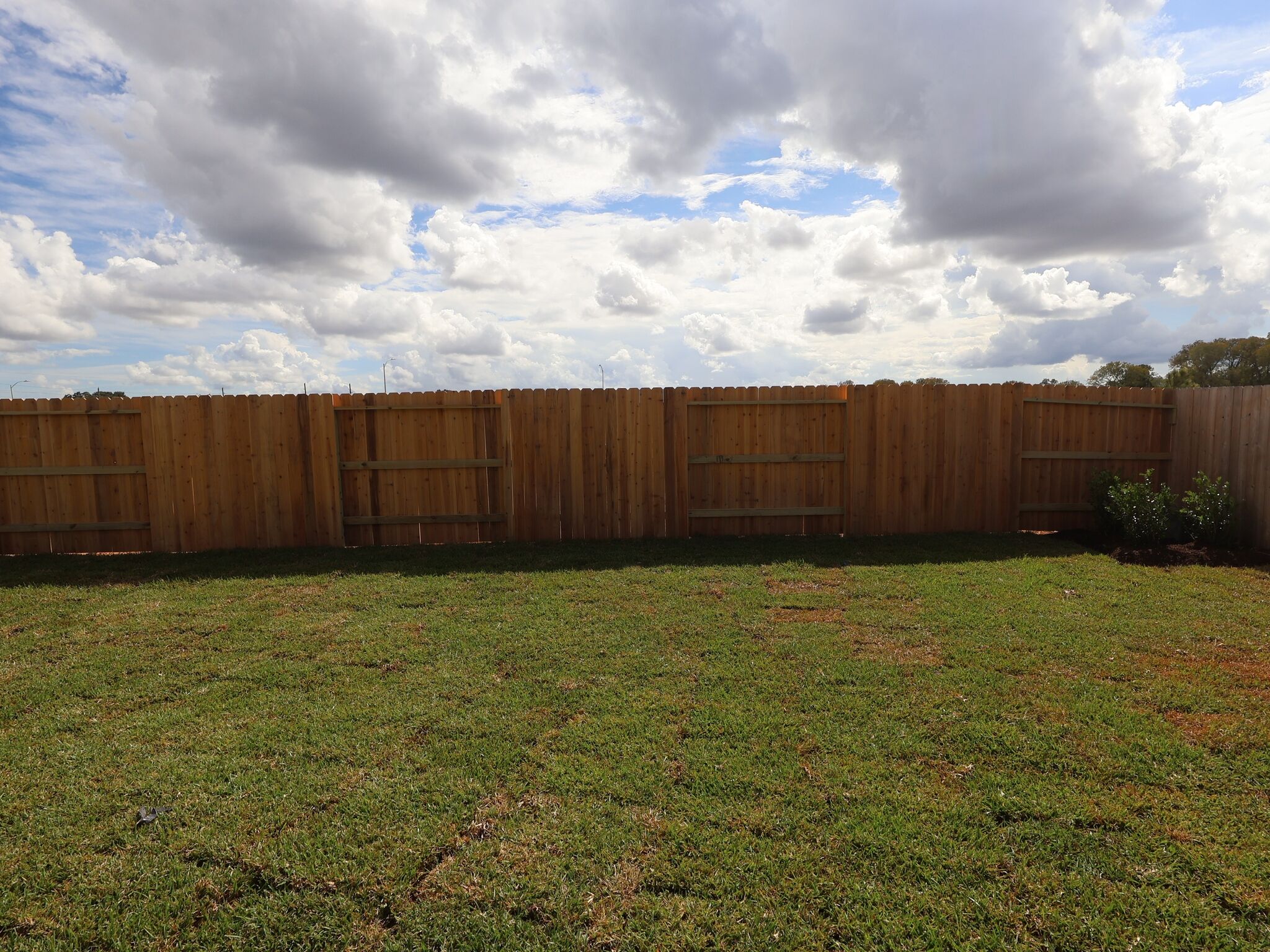 Backyard