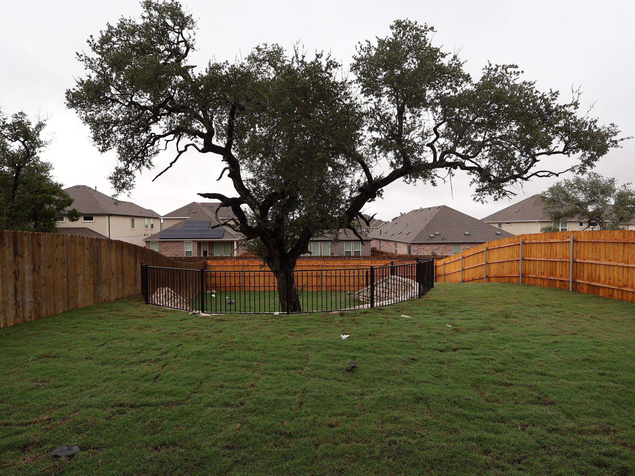 Backyard