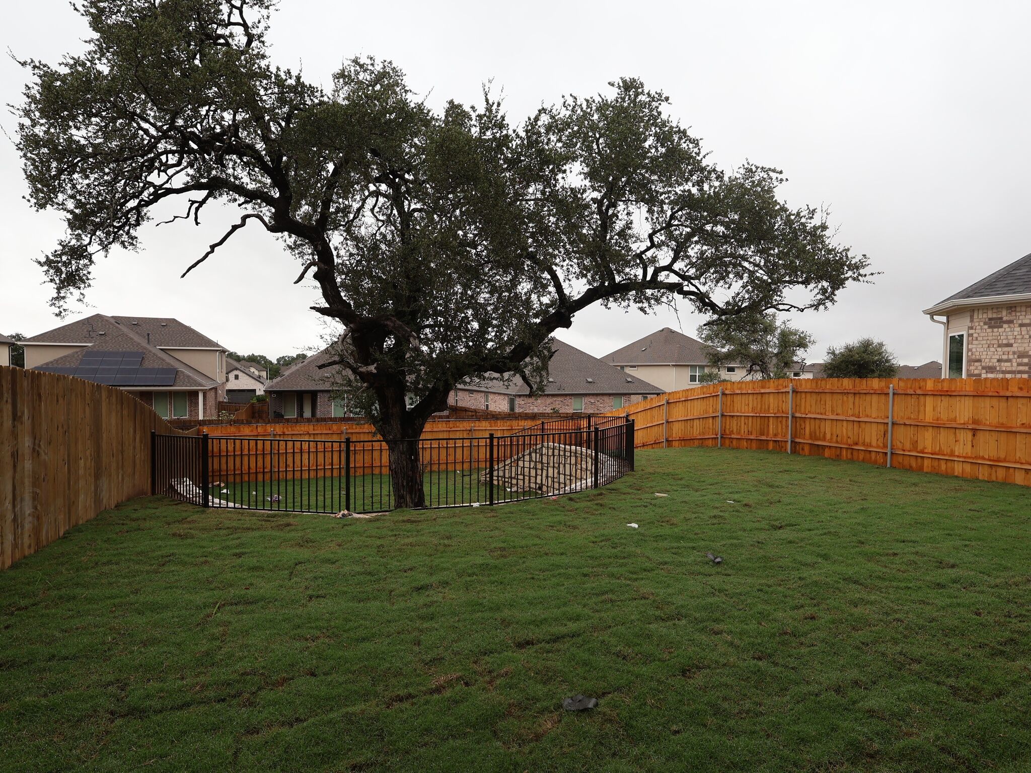 Backyard