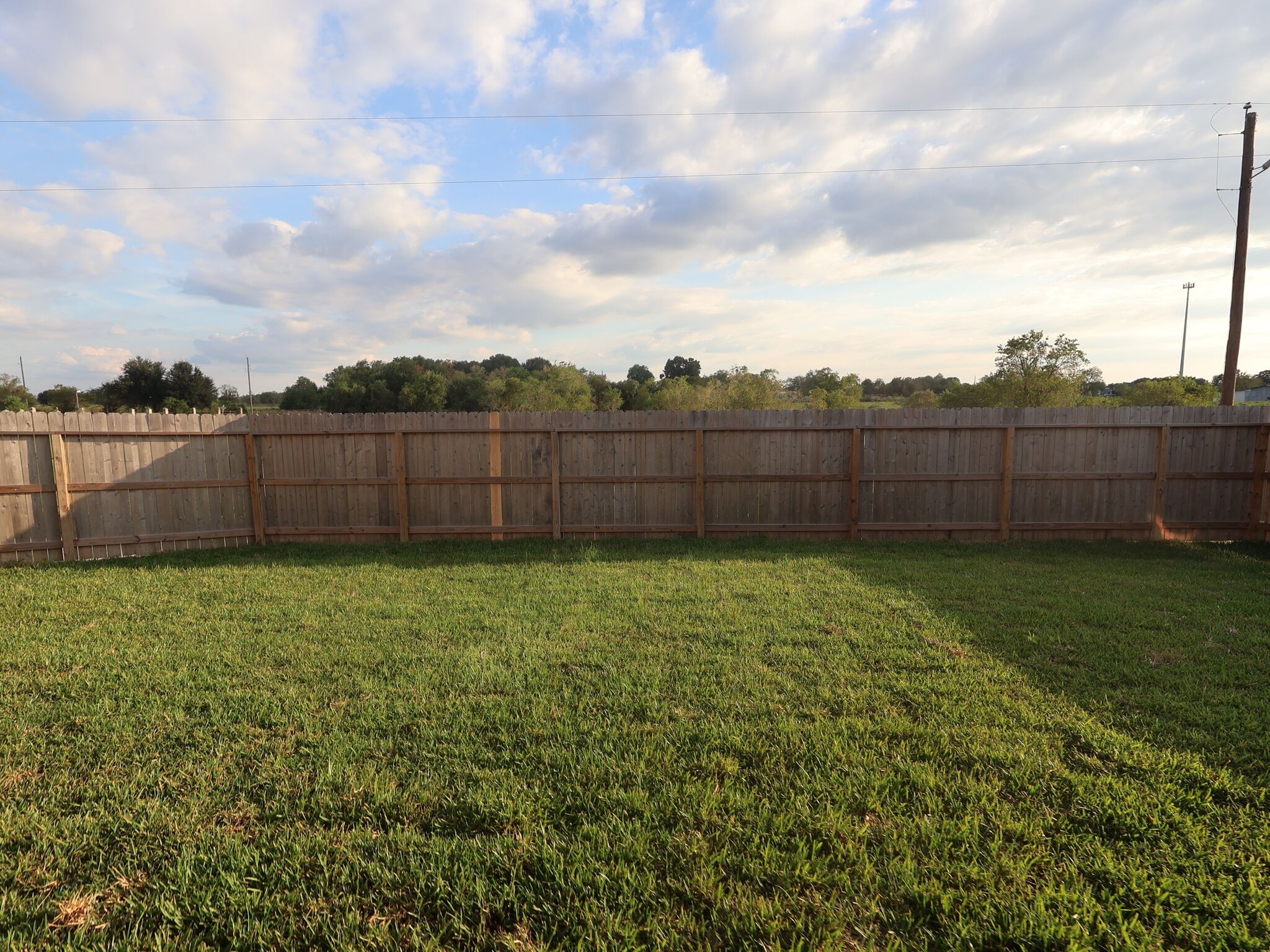 Backyard