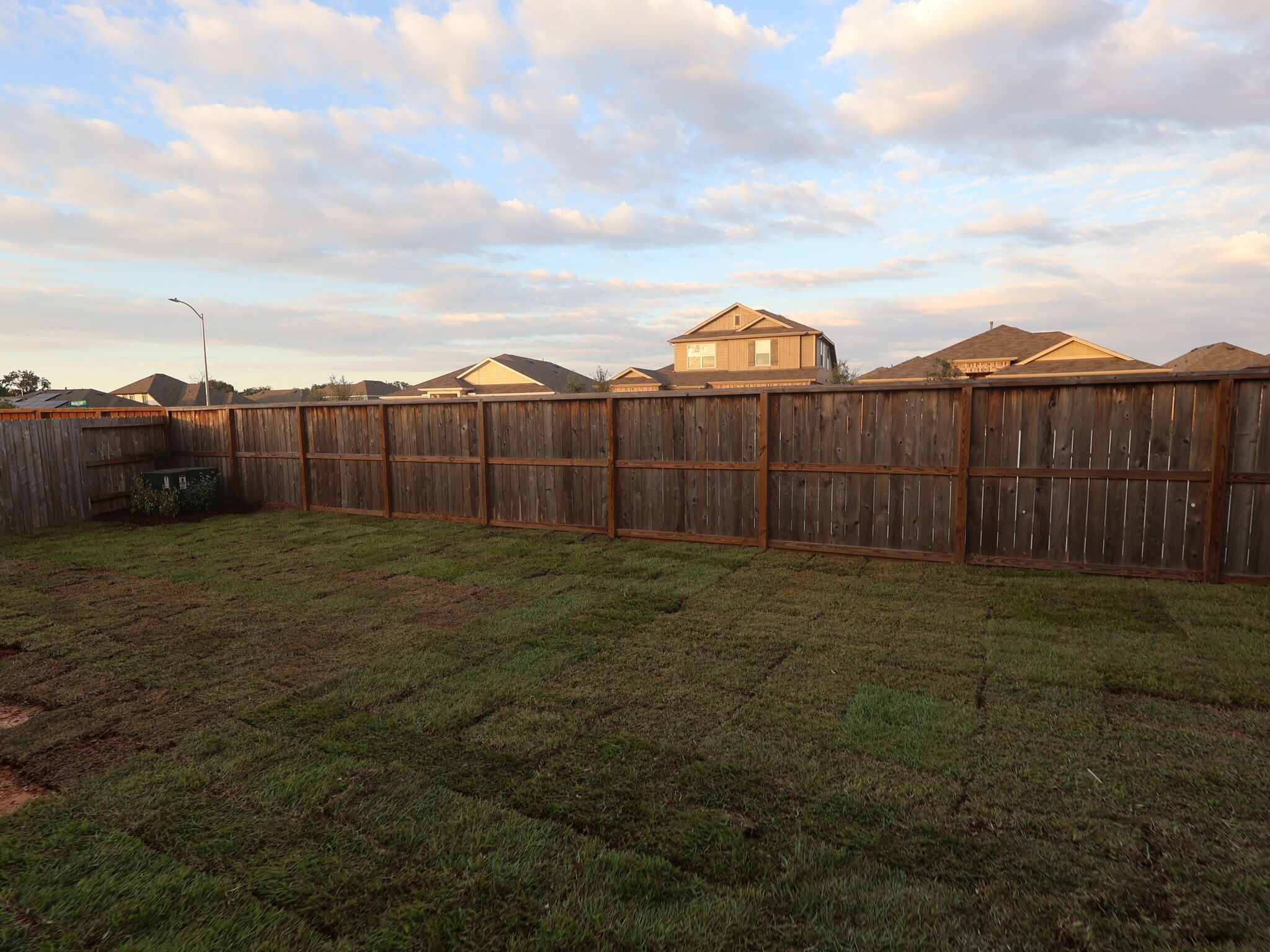 Backyard