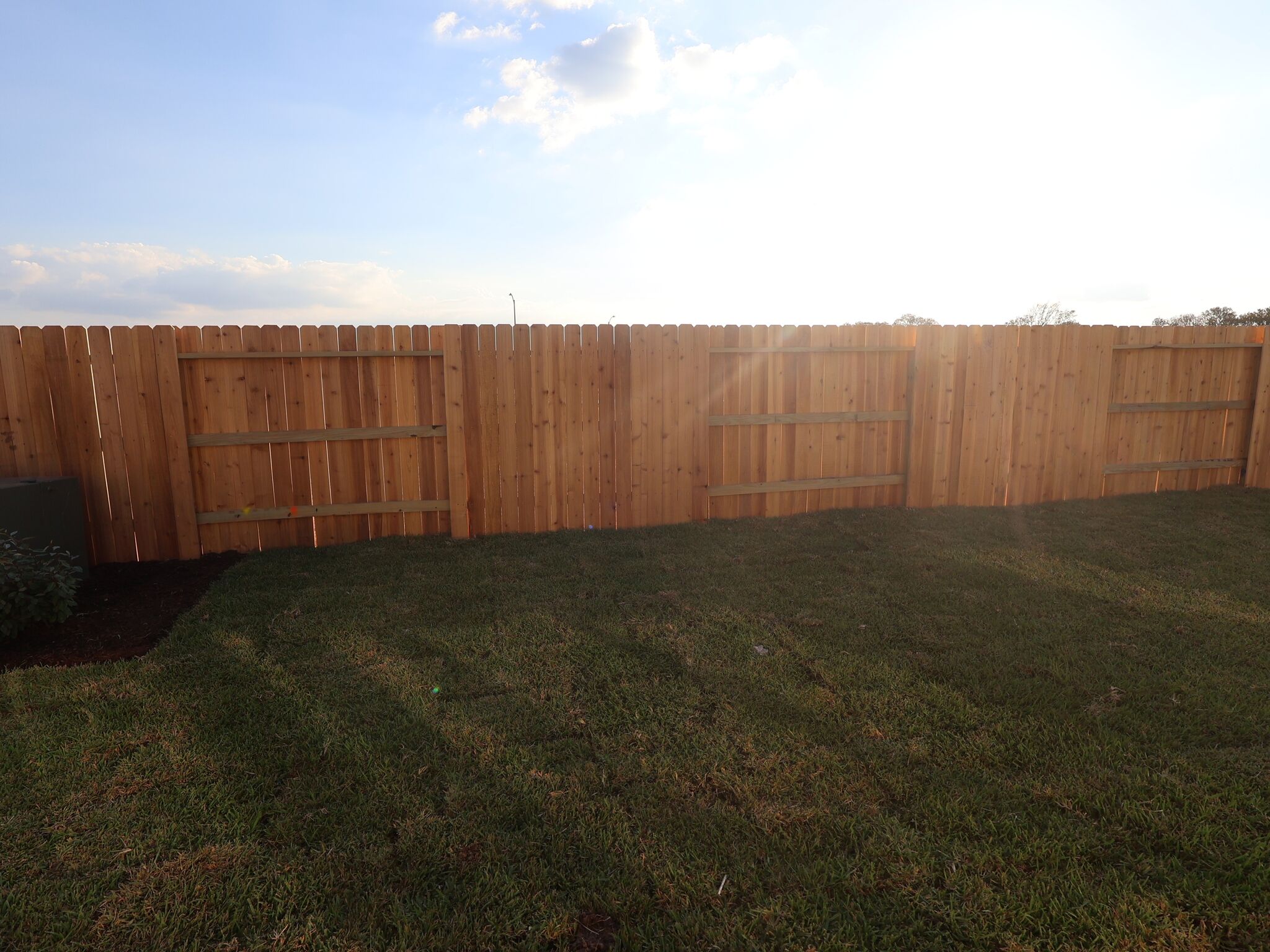 Backyard