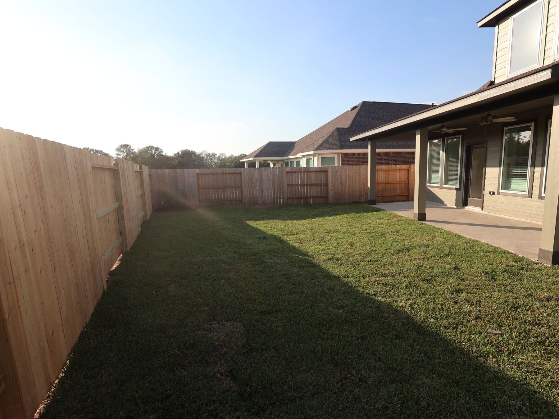 Backyard