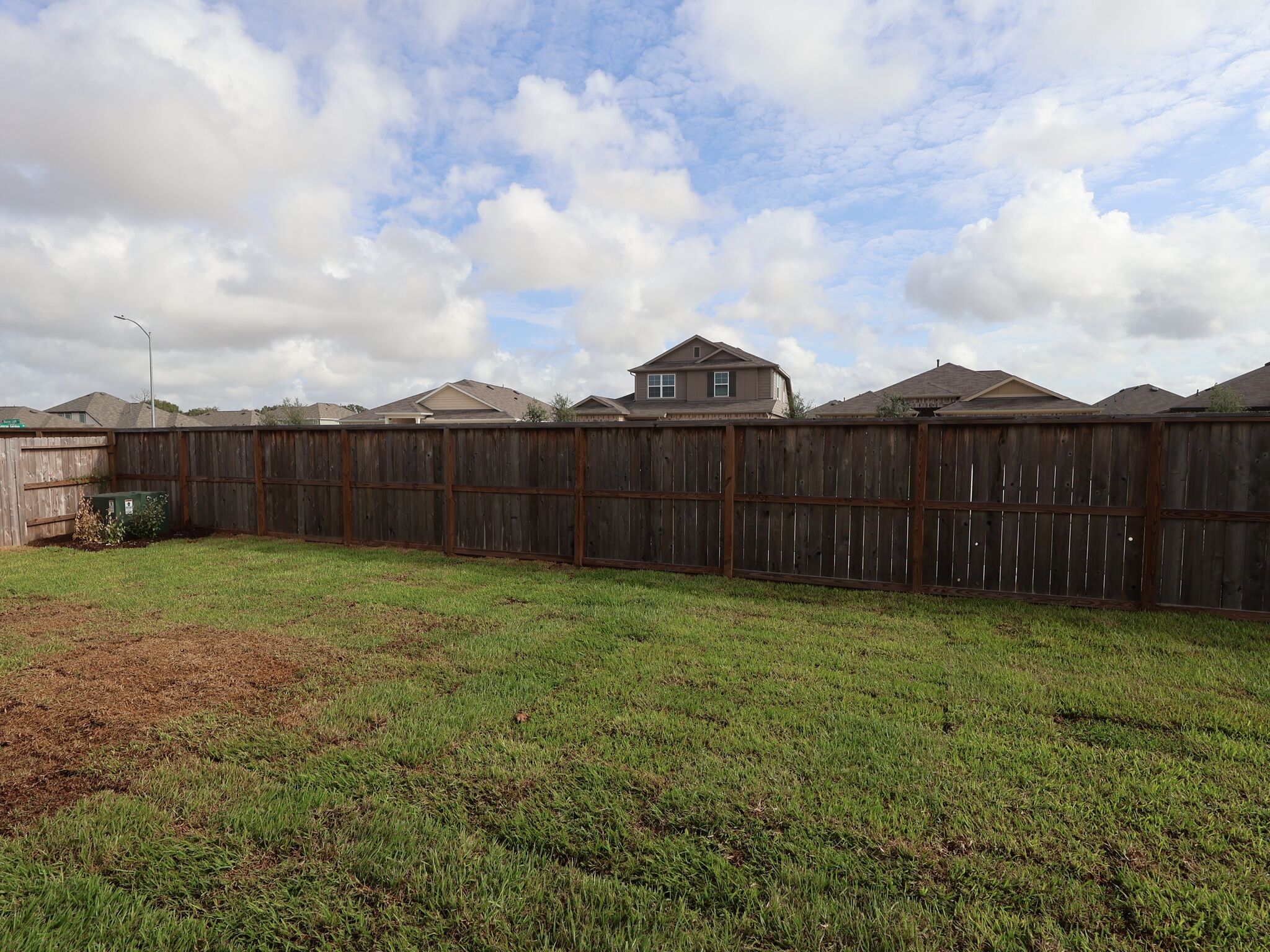 Backyard