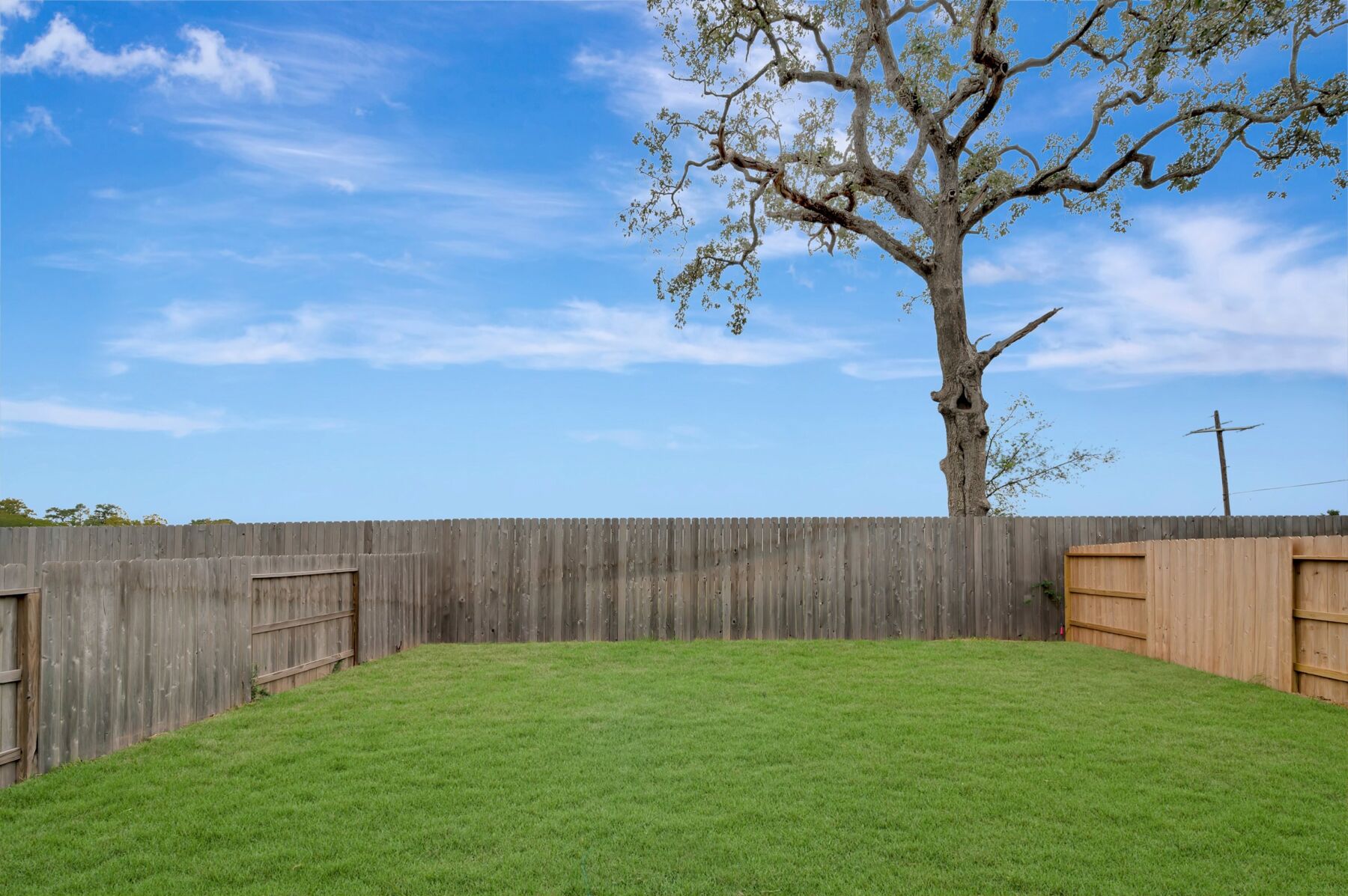 Backyard