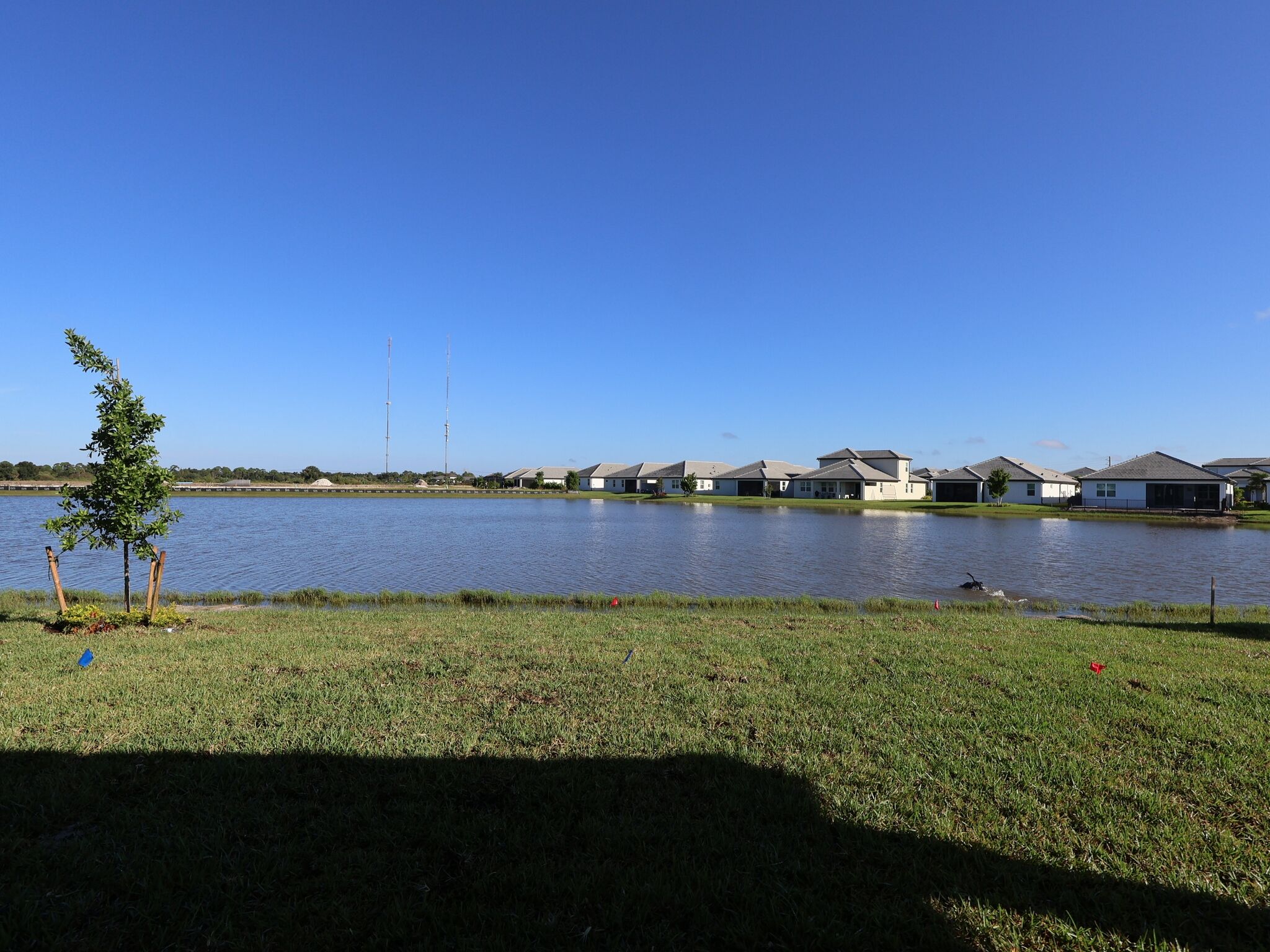 Homesite