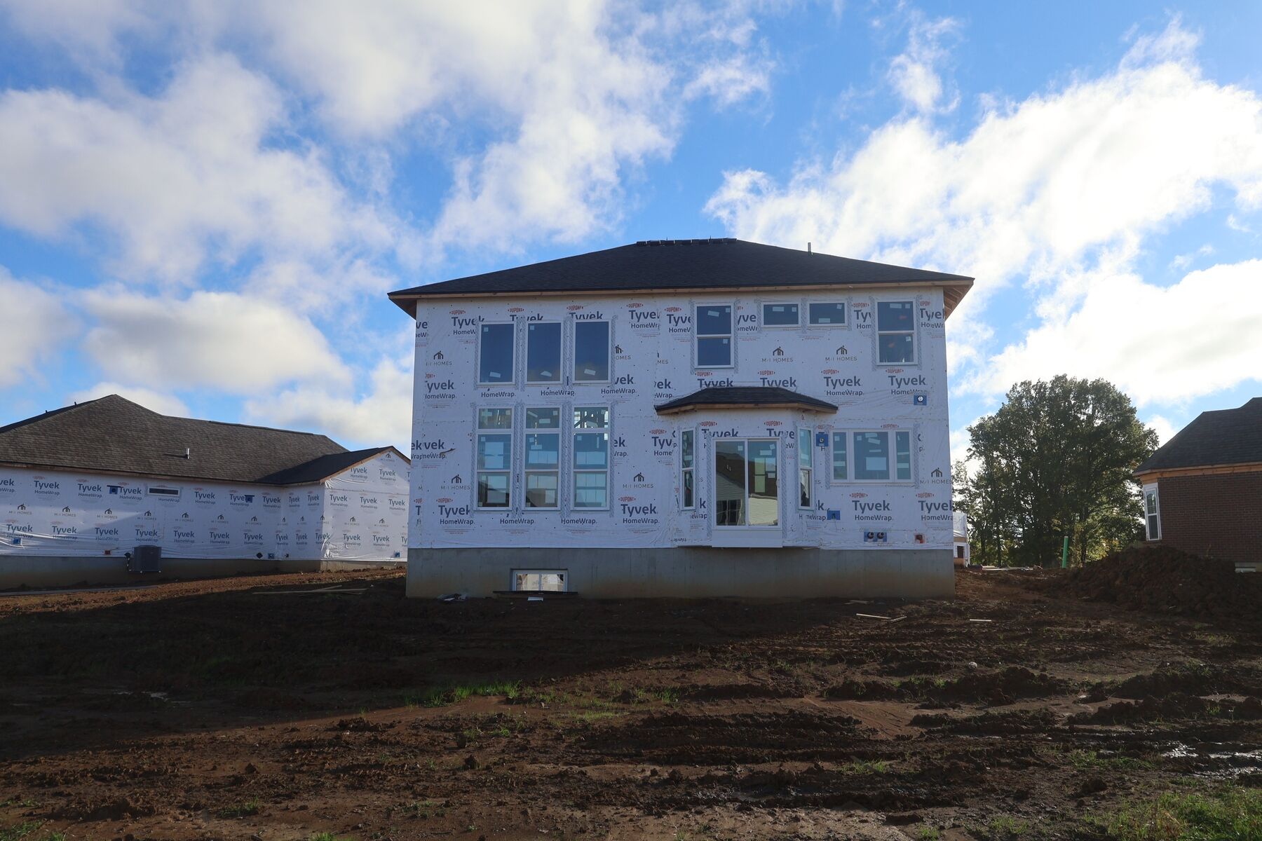 Back Exterior