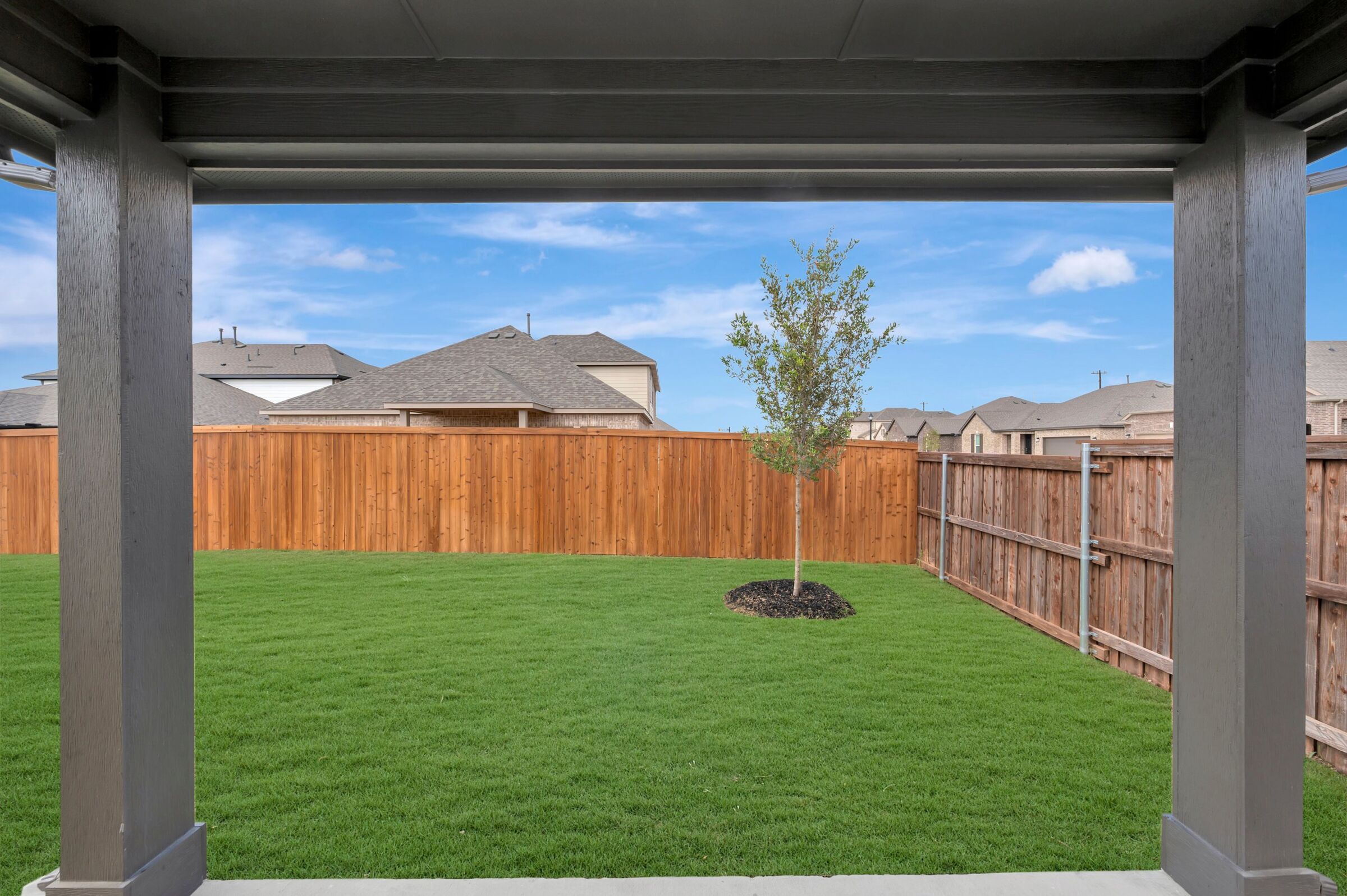 Backyard