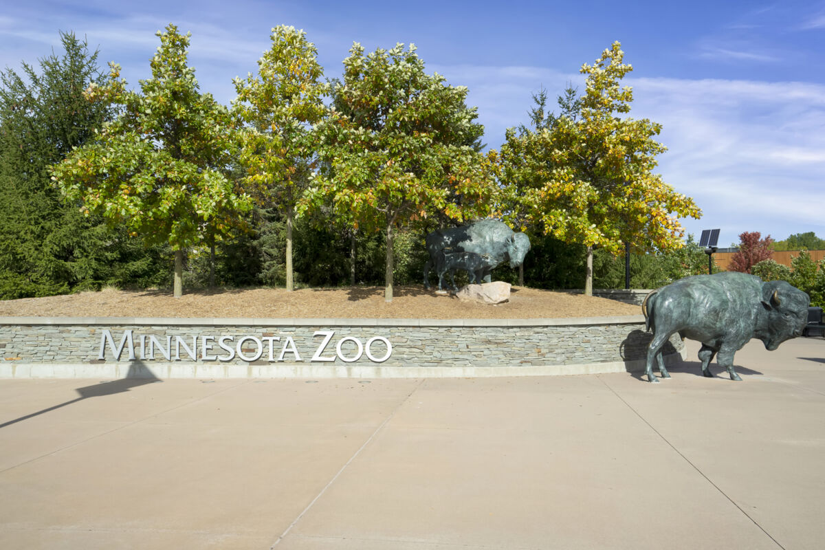 Surrounding Area - Minnesota Zoo