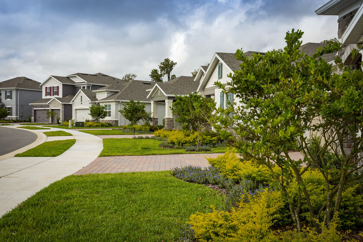 Cadence Park Streetscape