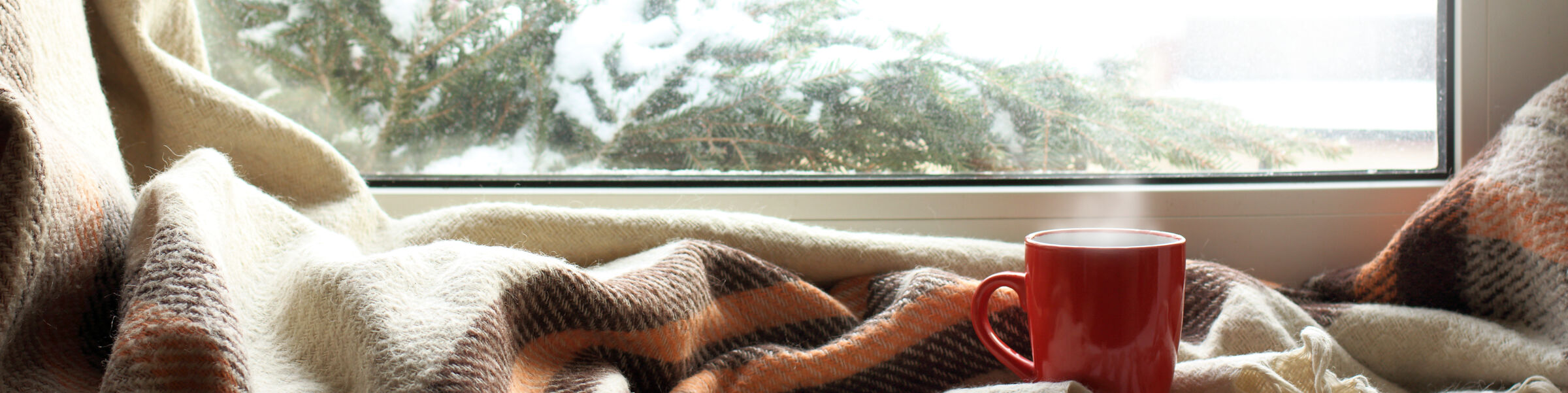 Mug and Blankets By Window