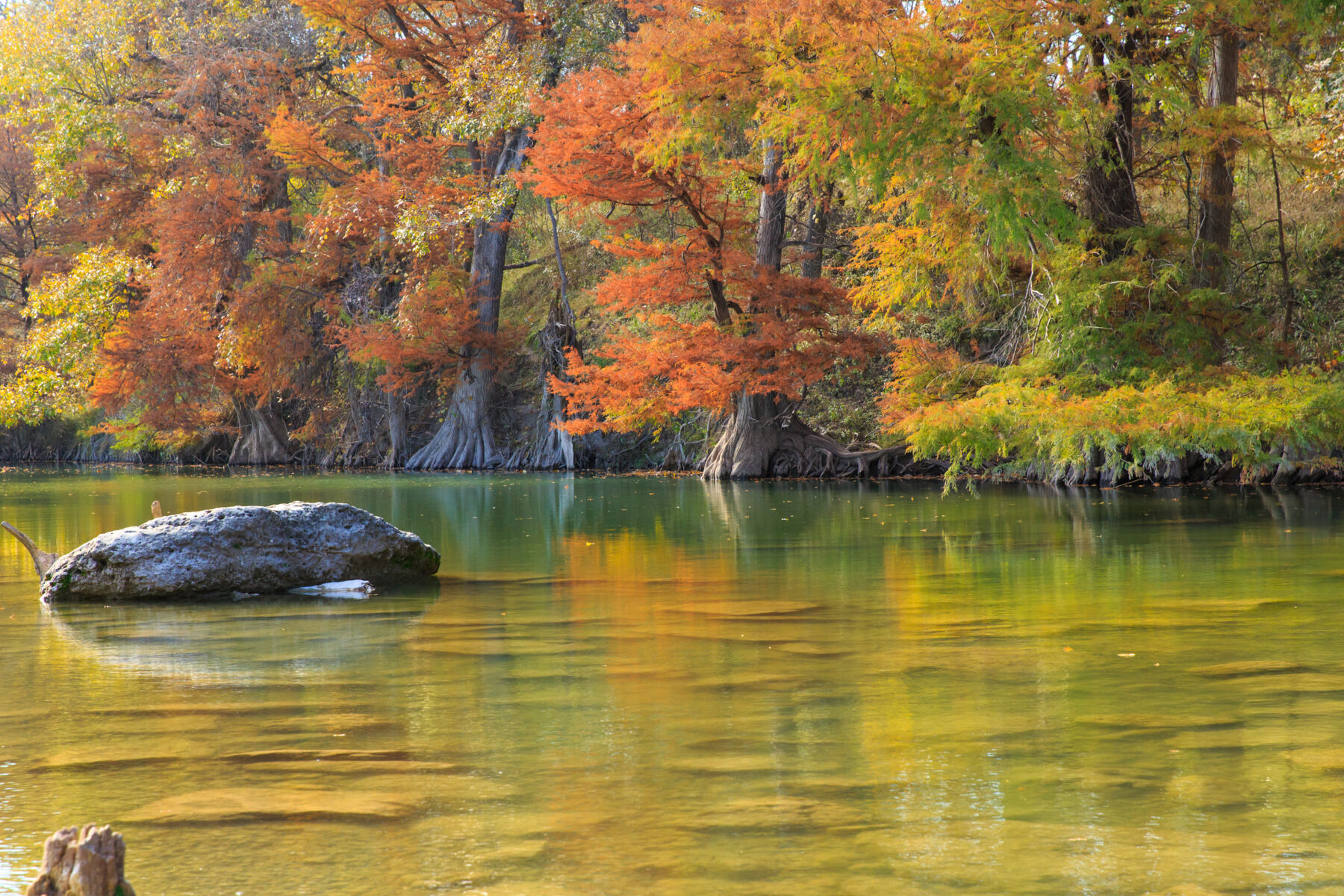 Guadalupe River State Park