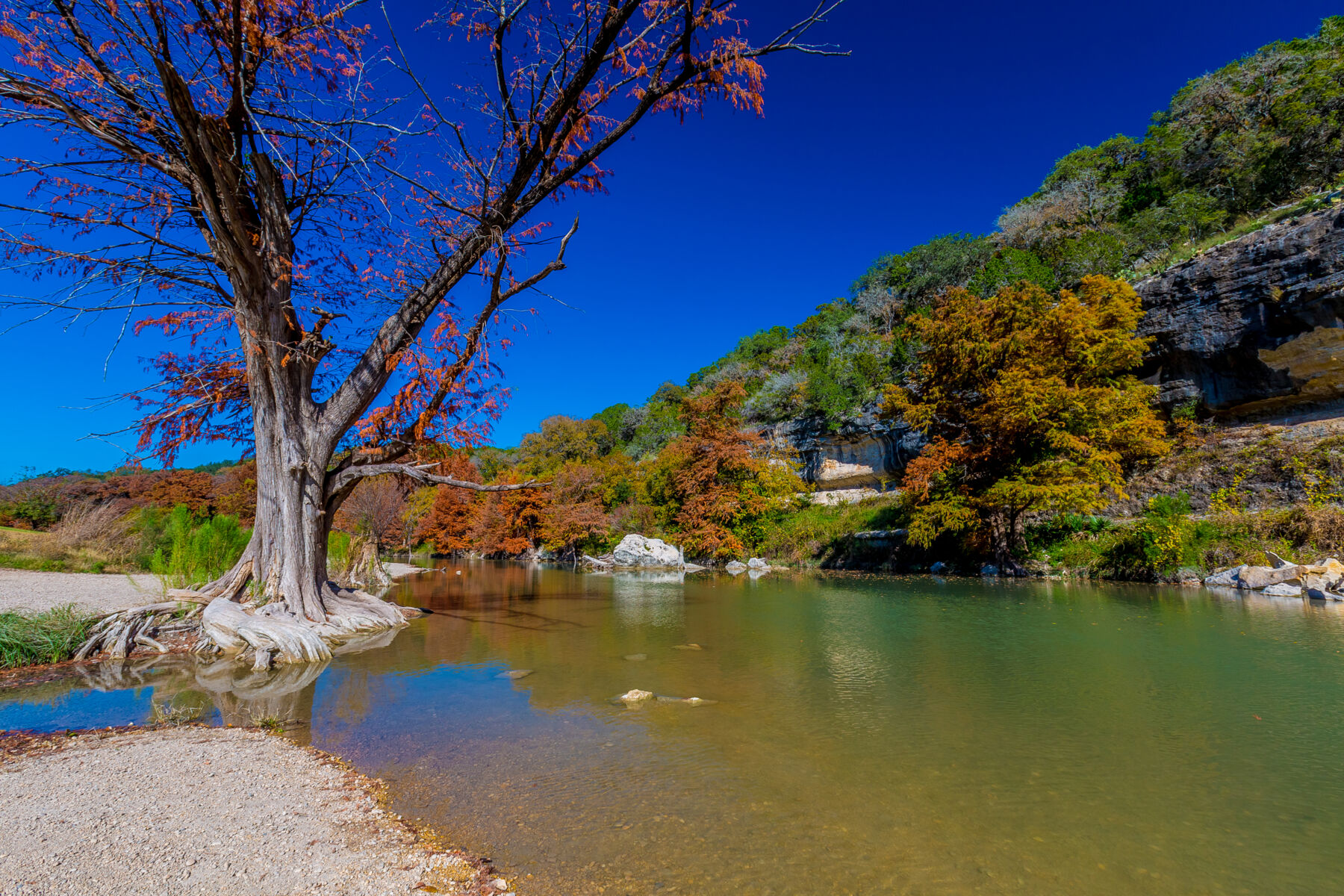 Guadalupe River at Guadalupe State Park, Texas