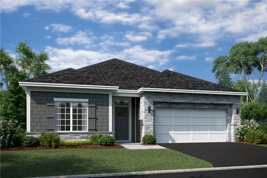 Cedarwood II