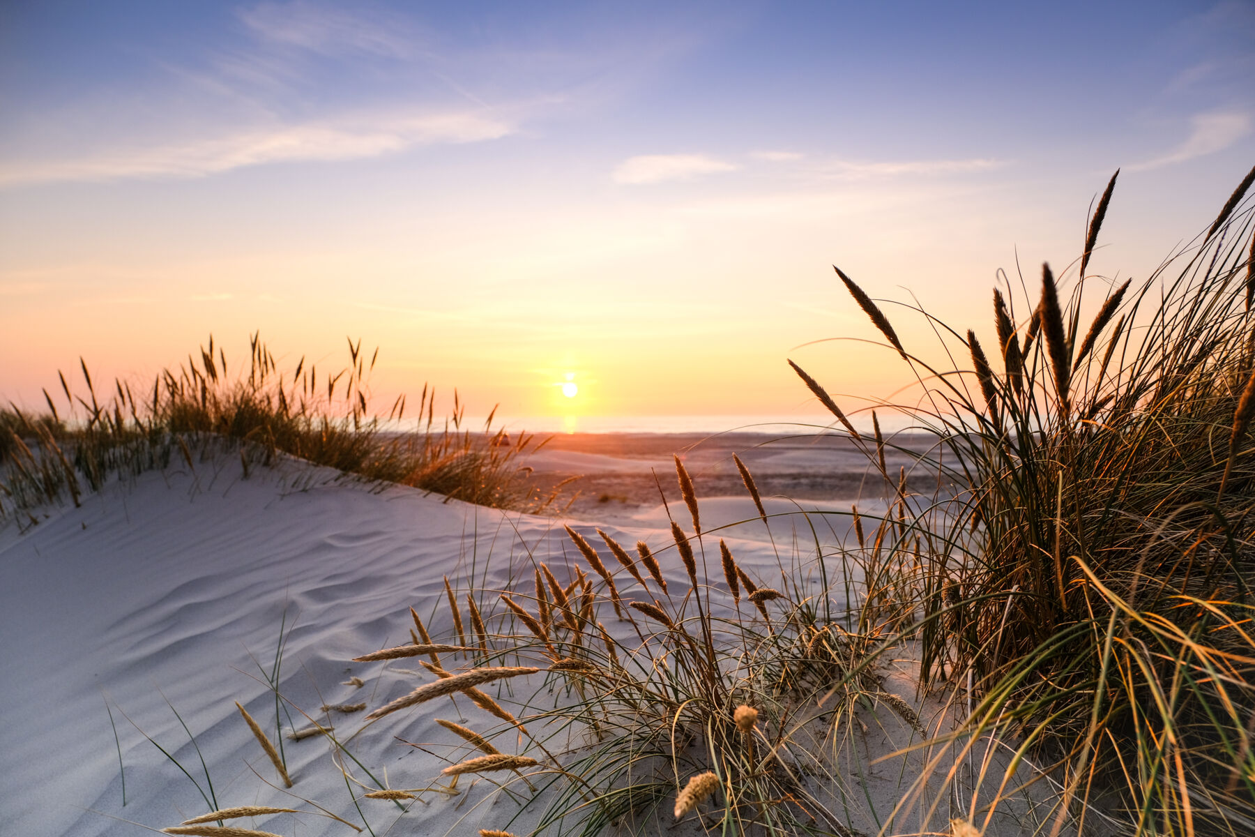 Beach at Sunset