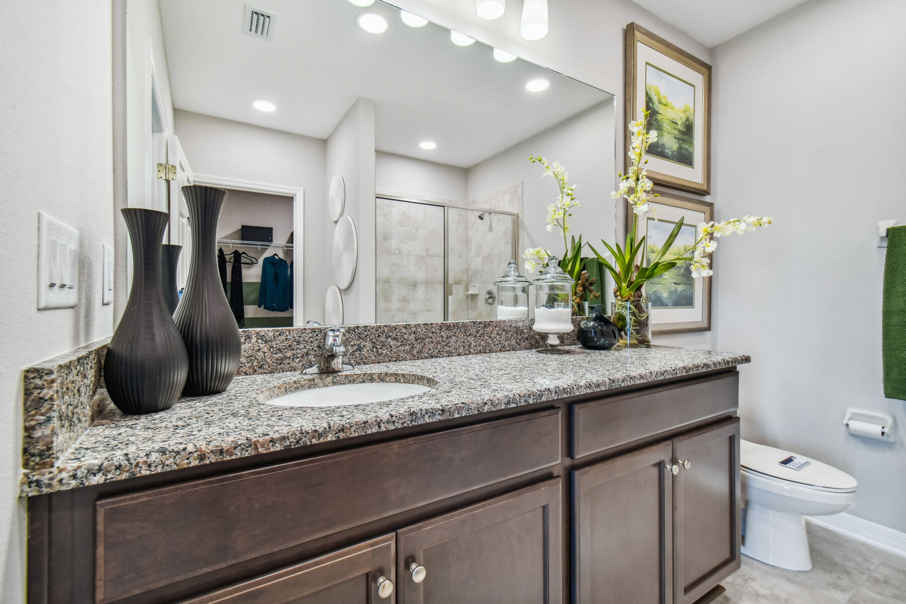 Owner's Bathroom