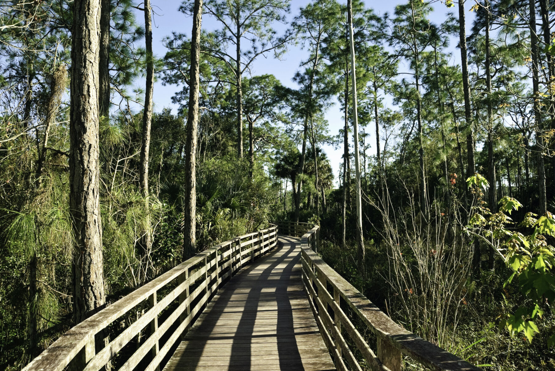 Vistera Walking Trail with wooden bridge and trees 