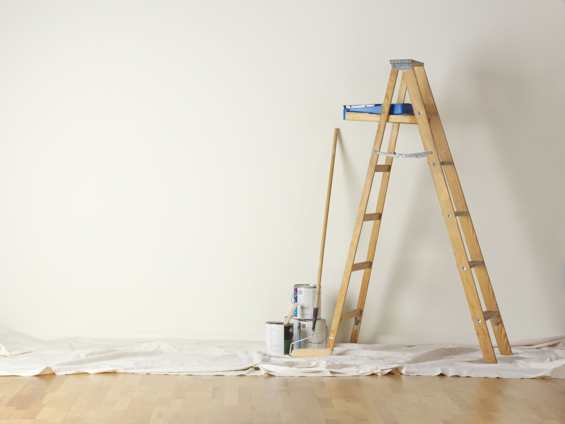 Paint and Ladder
