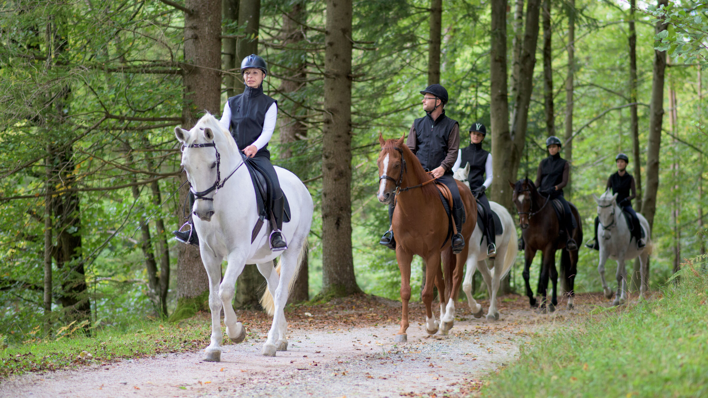 Horseback Riding on Trail
