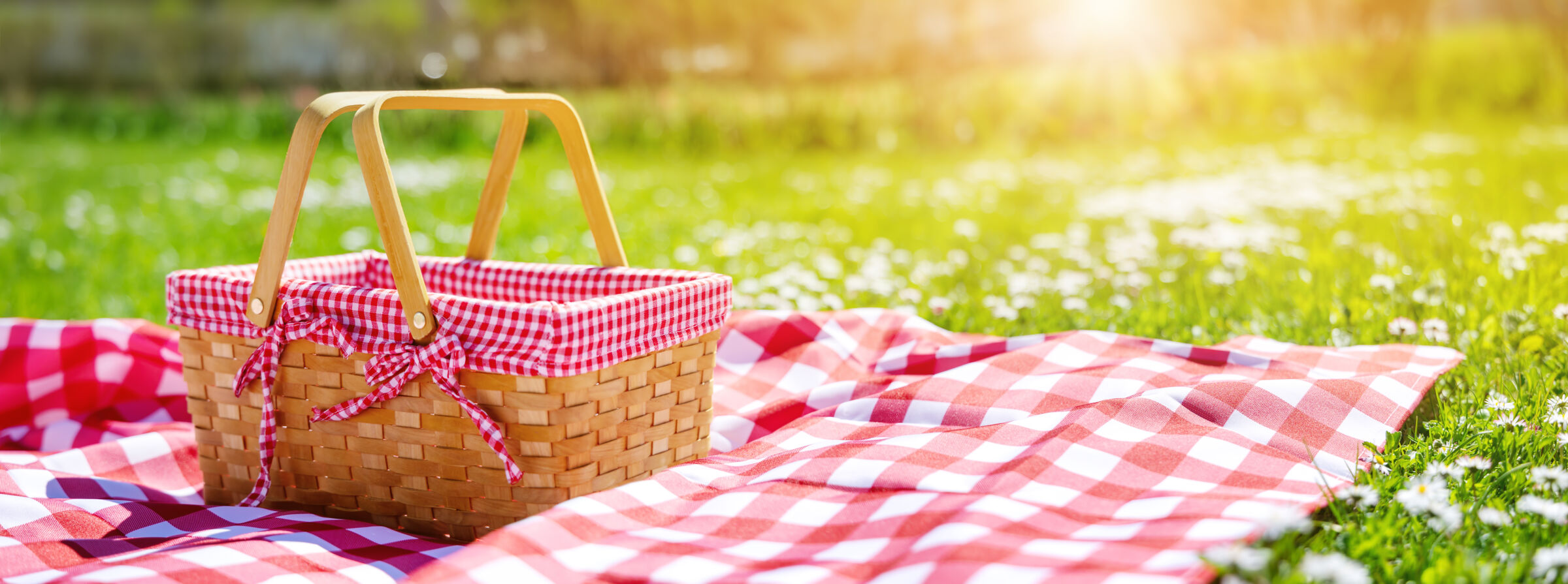 Picnic Basket